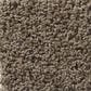 Shaw Del Morro Carpet in Shadow, , large