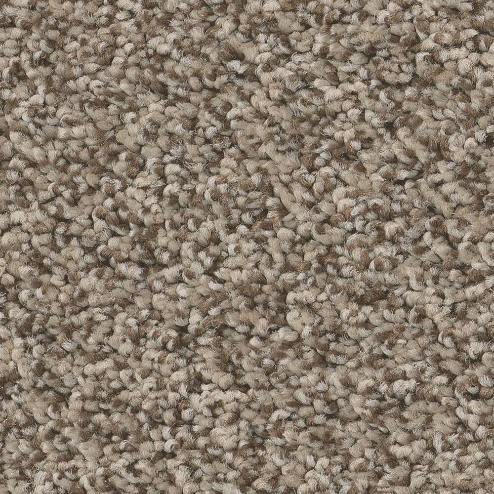 Anderson Tuftex Avalon Bay Carpet in Chic Taupe, , large