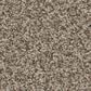 Anderson Tuftex Avalon Bay Carpet in Chic Taupe, , large