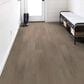 Shaw Endura Plus Simple Wash 7" x 48" Luxury Vinyl Plank, , large