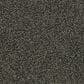 Mohawk Coastal Luxury II Carpet in Netting, , large