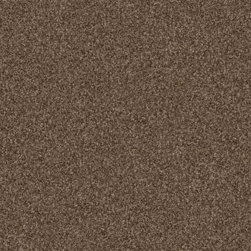 Dixie Home Trapper Carpet in Basset, , large