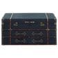 Maple and Jade Upholstered 2-Drawer Coffee Table with Buckle Hinged Top in Dark Blue, , large