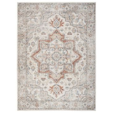 Nourison Astra Machine Washable ASW12 4" x 6" Grey and Multicolor Area Rug, , large
