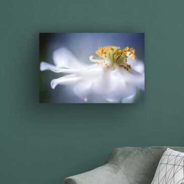Timberlake Mandy Disher "Anemone 1" 22" x 32" Canvas Art, , large