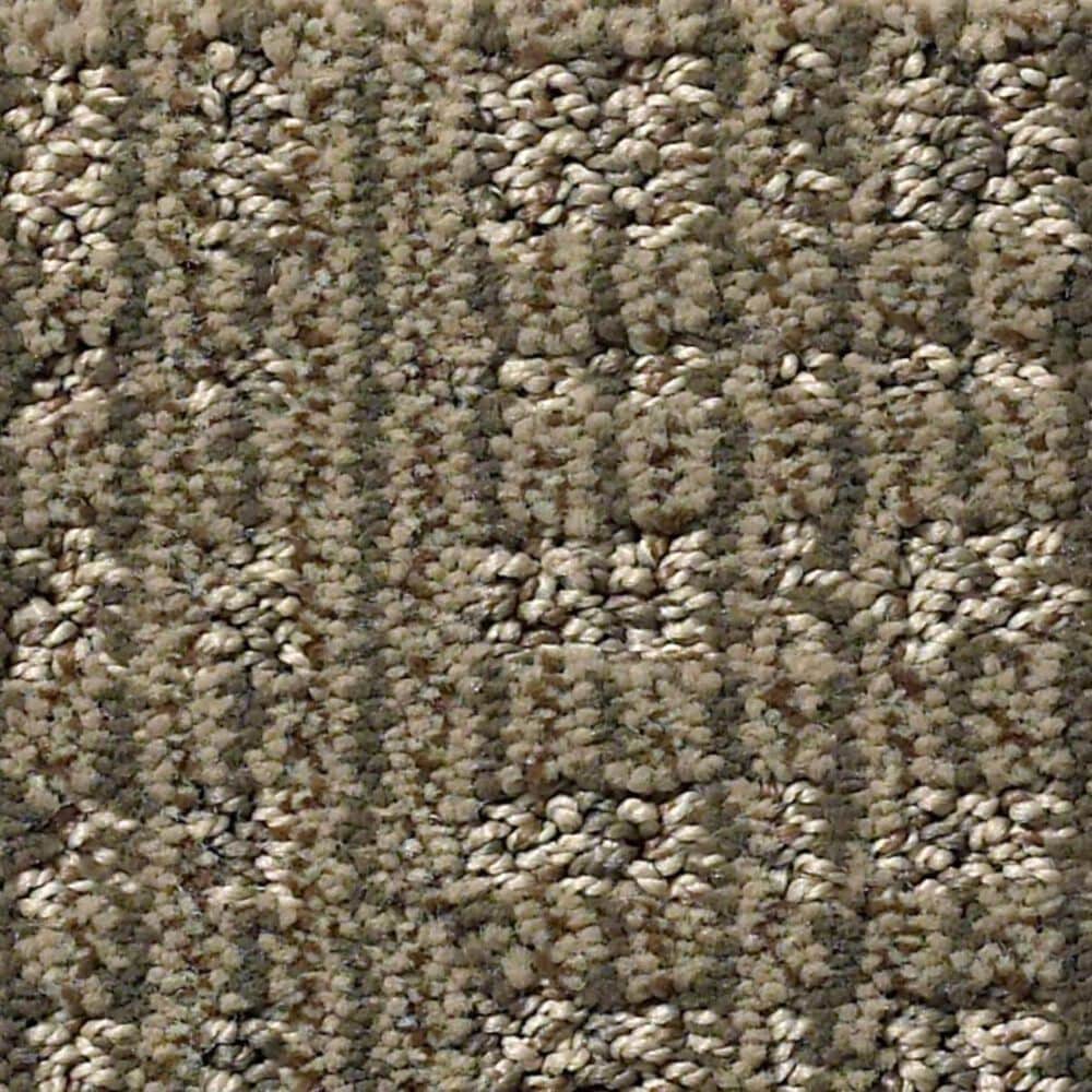 Anderson Tuftex Purrsuasion Carpet in Craftsman, , large