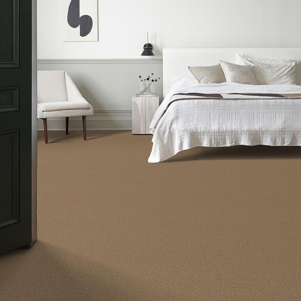 Anderson Tuftex Enchanting Carpet in Prairie, , large