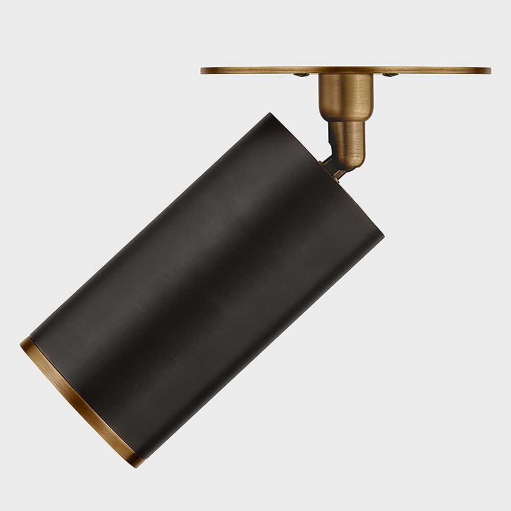 Troy Lighting Caleb 1-Light Flush Mount in Patina Brass and Bronze, , large