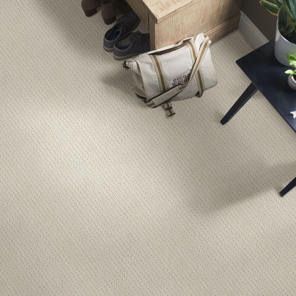 Anderson Tuftex Cabo Cove Carpet in Plymouth, , large