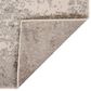 Amer Rugs Alpine 1"10" x 2"11" Gray Area Rug, , large