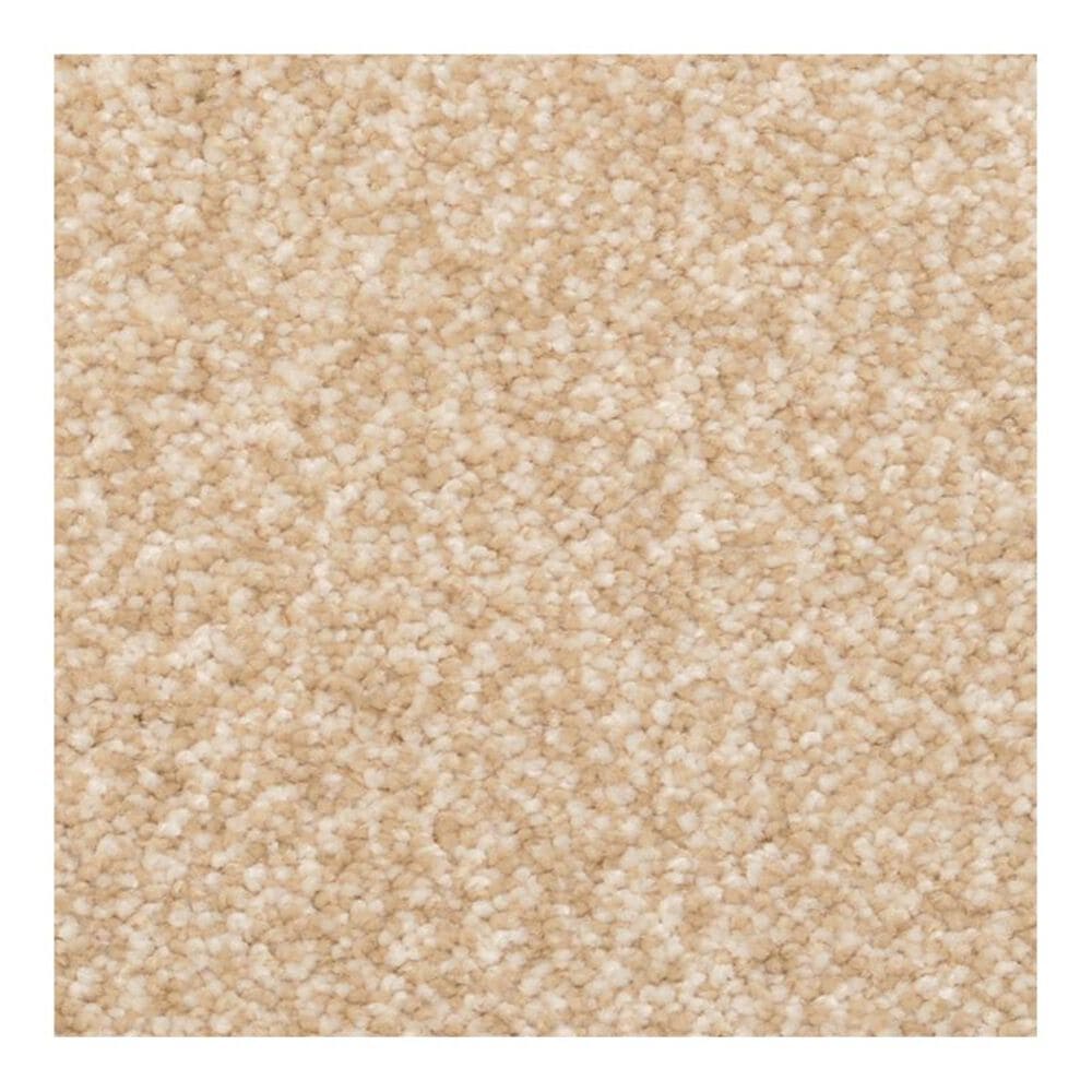 Dixie Home Lavato Carpet in Portico, , large