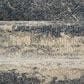 Amer Rugs Jordan 5"3" x 7"6" Gray Area Rug, , large