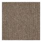Shaw Chatterbox 24" x 24" Carpet Tile in Chatty Kathy, , large