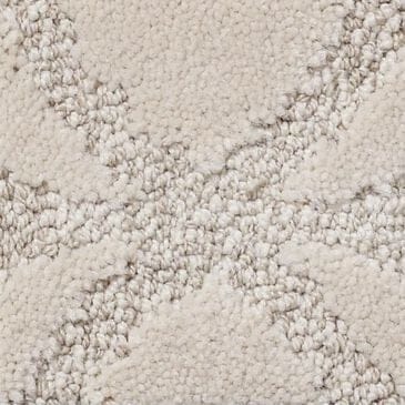 Anderson Tuftex Appreciation Carpet in Amarillo, , large
