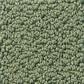 Shaw Detailed Statement Loop Carpet in Bay Laurel, , large
