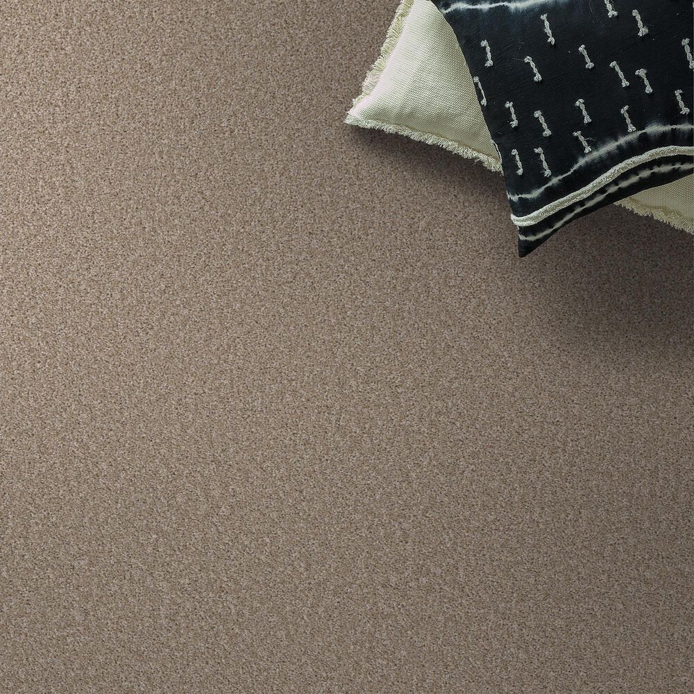 Shaw Pet Perfect Bold Move Carpet in Camel, , large