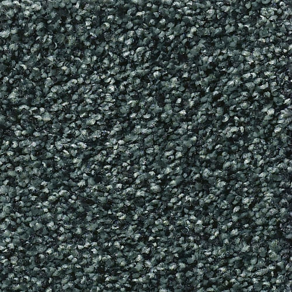 Shaw Find Your Comfort TT Blue Carpet in Hanging Vine, , large