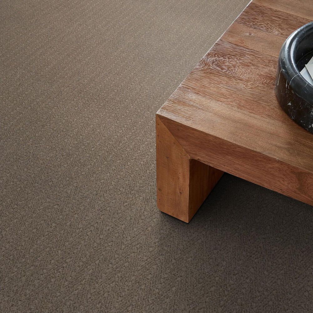 Anderson Tuftex Kit Carpet in Camelback, , large