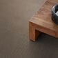 Anderson Tuftex Kit Carpet in Camelback, , large