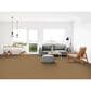 Dixie Home Gladys Carpet in Cayman, , large