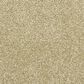 Dixie Home Simplicity Carpet in Cameo, , large
