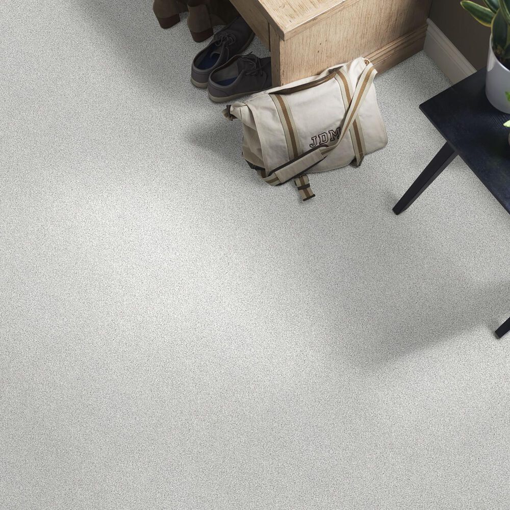 Shaw Find Your Comfort TT I Carpet in Bay Waves, , large