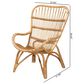 Baxton Studio Earvin Rattan Arm Chair in Natural Brown, , large