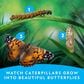 National Geographic Butterfly Growing Kit, , large