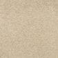 Mohawk Bold Creation Carpet in Travel Buff, , large