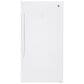 GE Appliances 17.3 Cu. Ft. Frost-Free Upright Freezer, , large