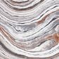 Safavieh Cyrus Shag CYR134F CYRUS SHAG 3" x 5" Grey and Rust Area Rug, , large
