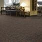 Shaw High Voltage 24" x 24" Carpet Tile in Battery, , large