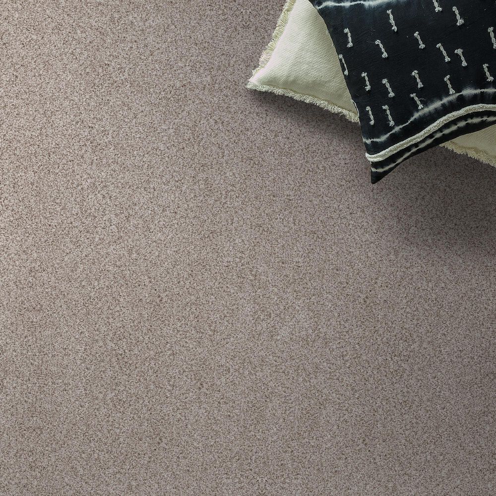 Anderson Tuftex Sumptuous Texture Carpet in Valley, , large