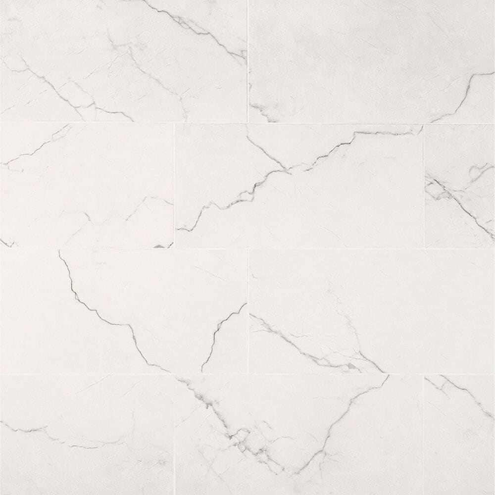 MS International Brighton Grey 12&quot; x 24&quot; Polished Porcelain Tile, , large