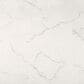 MS International Brighton Grey 12" x 24" Polished Porcelain Tile, , large