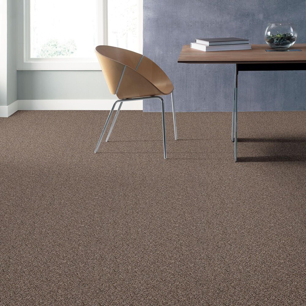 Shaw Cabana Bay &#40;B&#41; Carpet in Brown Reed, , large