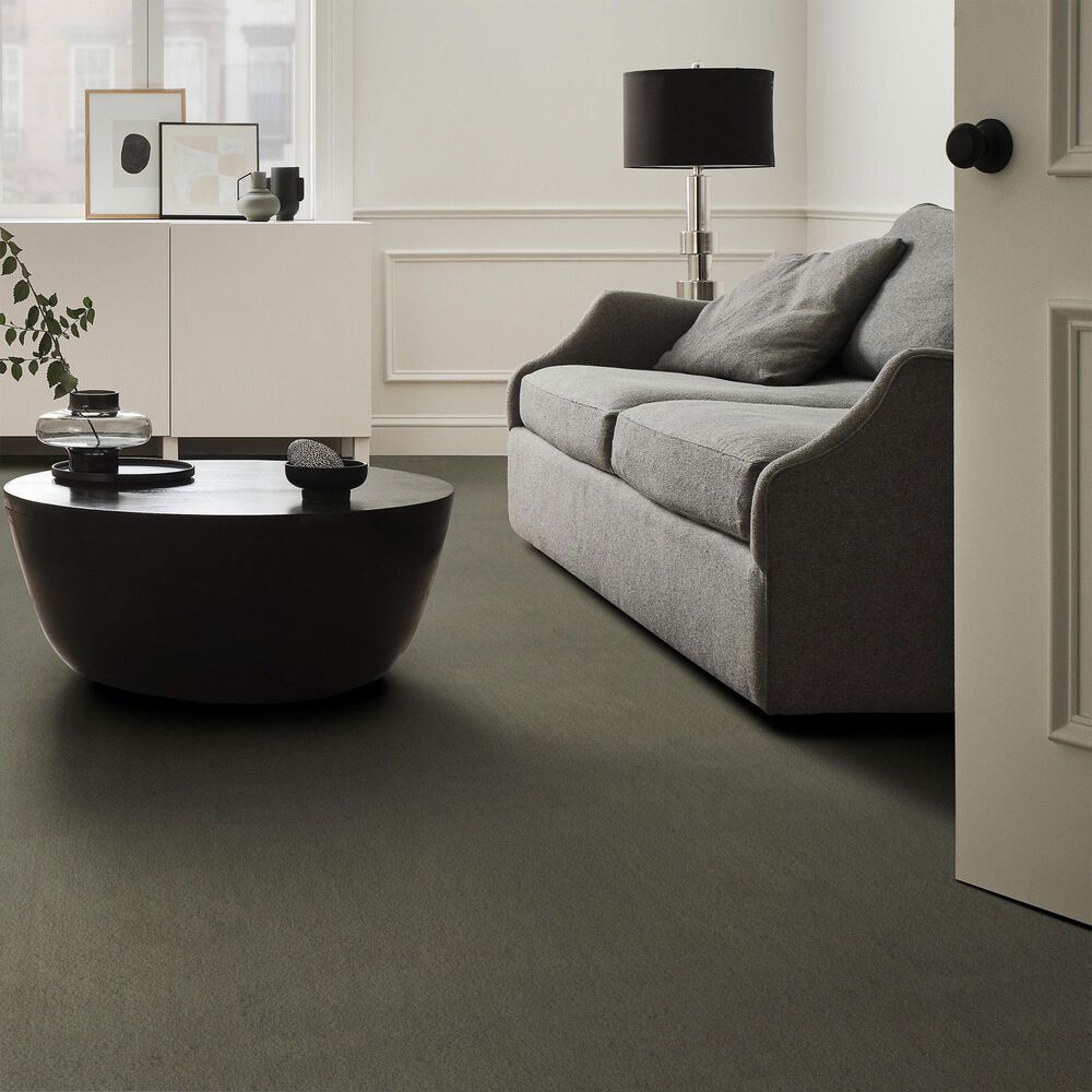 Anderson Tuftex Luxe Feel II Carpet in Bonsai, , large
