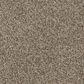Phenix Catania Carpet in Amphitheater, , large