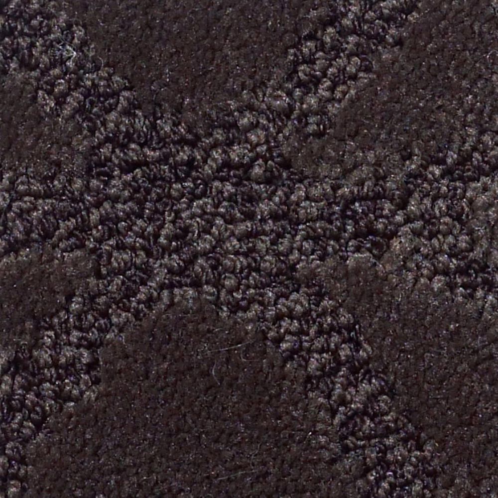 Anderson Tuftex Green Creek NA148 Carpet in Browning, , large