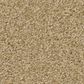 Shaw Tonal Comfort Blue Carpet in Hello Sunshine, , large