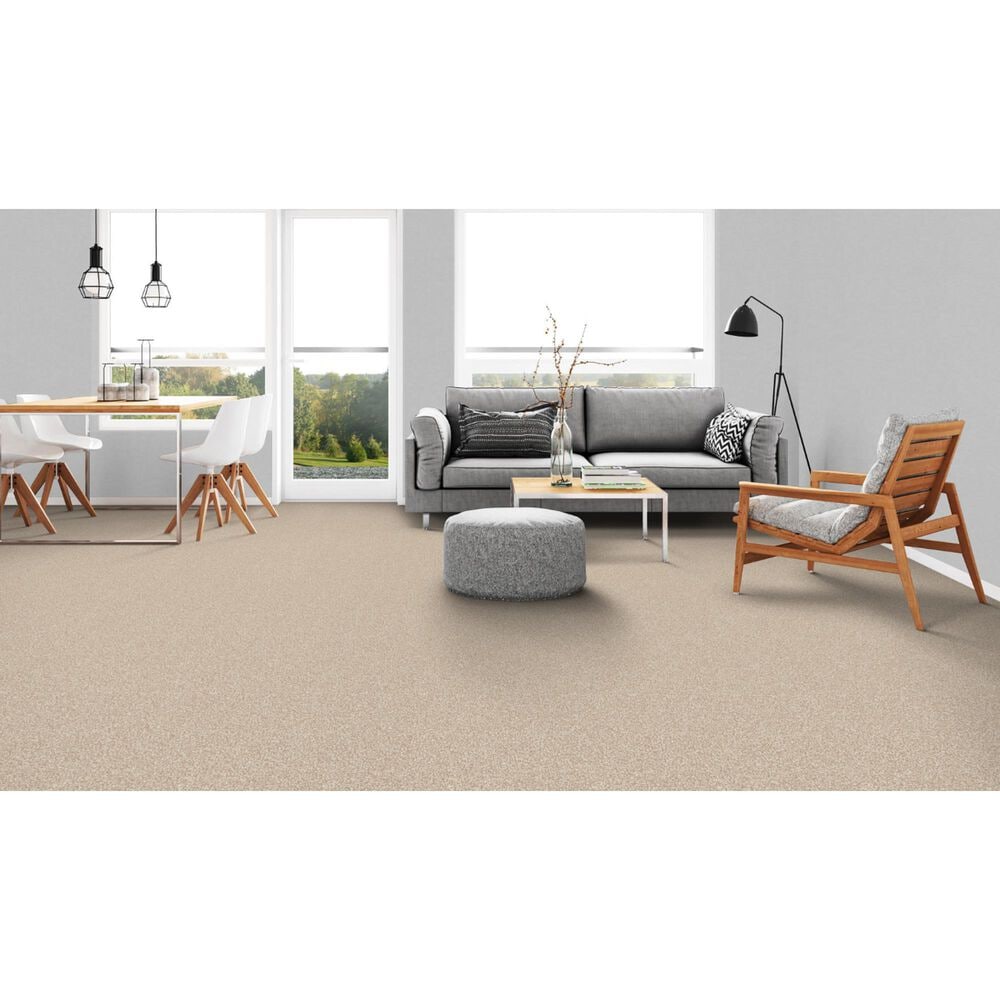 Dixie Home Bella Carpet in Bulldog, , large