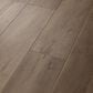 COREtec Pro Premium Warwick Maple 7" x 48" Luxury Vinyl Plank, , large