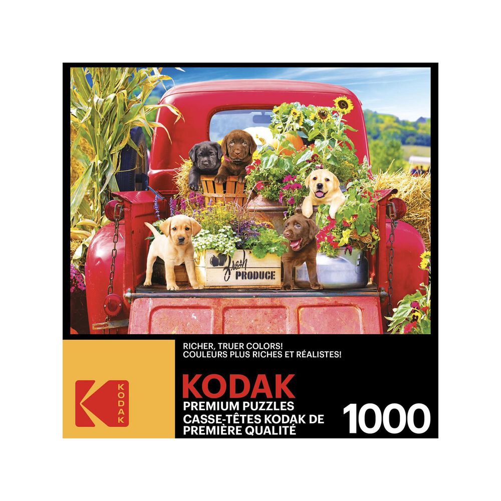 Cra-Z-Art 1000 Piece Puzzle Ice Cream, , large