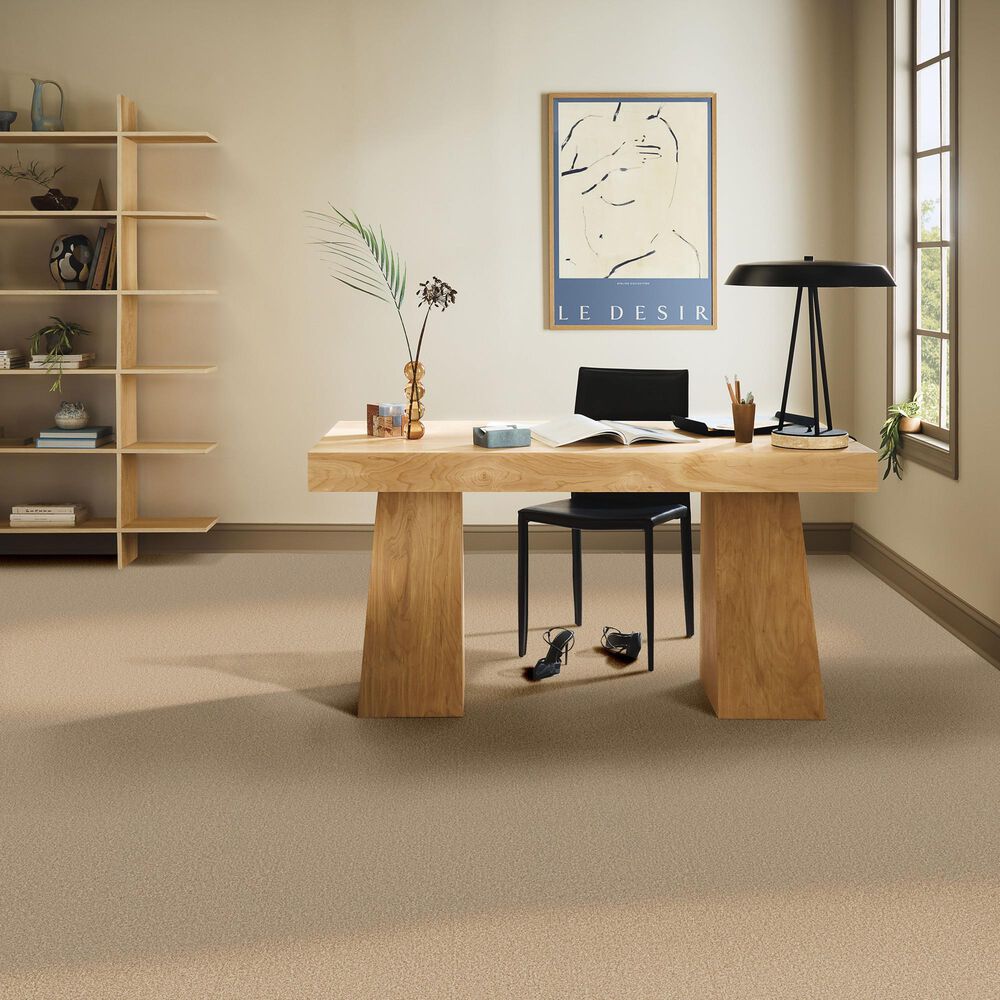 Anderson Tuftex Wyndham Estate Carpet in Filtered Moon, , large