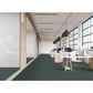 Masland Fascinating Carpet in Iconic, , large