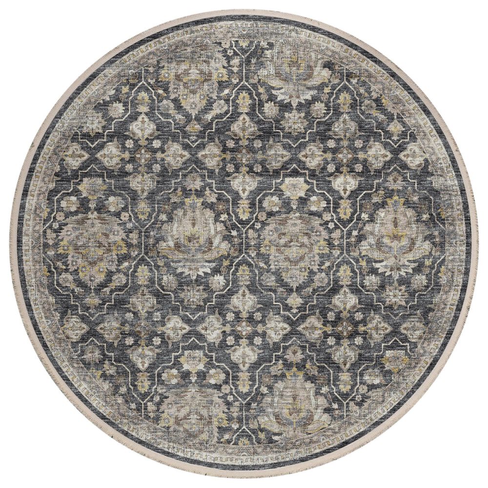 Dalyn Rug Company Marbella 8" Round Charcoal Area Rug, , large