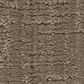 Shaw Shady Stroll Carpet in Acorn, , large