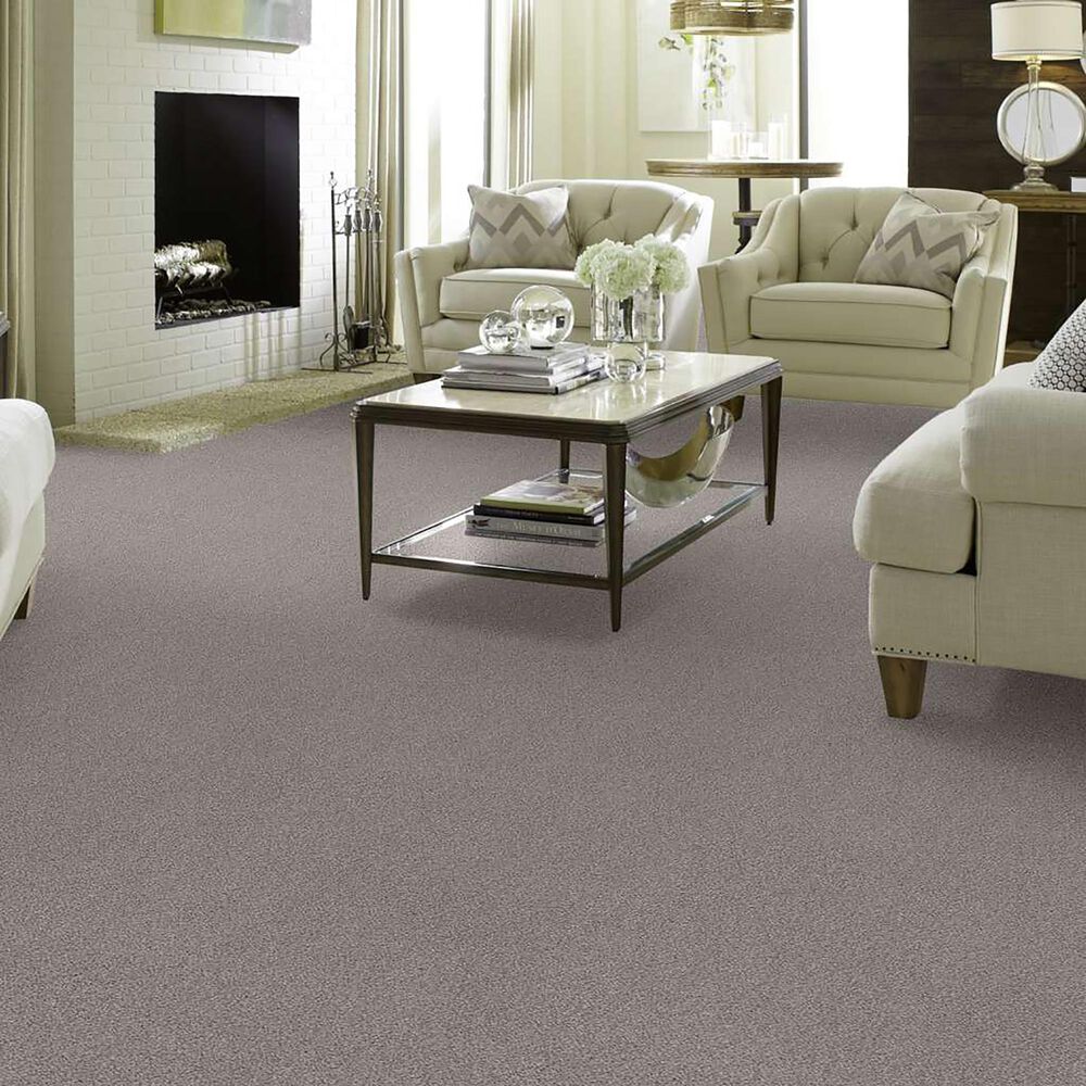 Anderson Tuftex Caress Cozy Harbor I Carpet in Cold Winter, , large