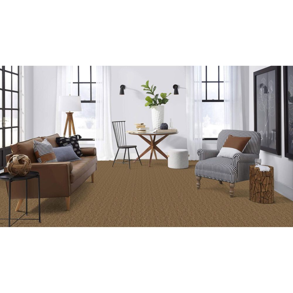 Masland Mesa Verde Carpet in Valley Forge, , large