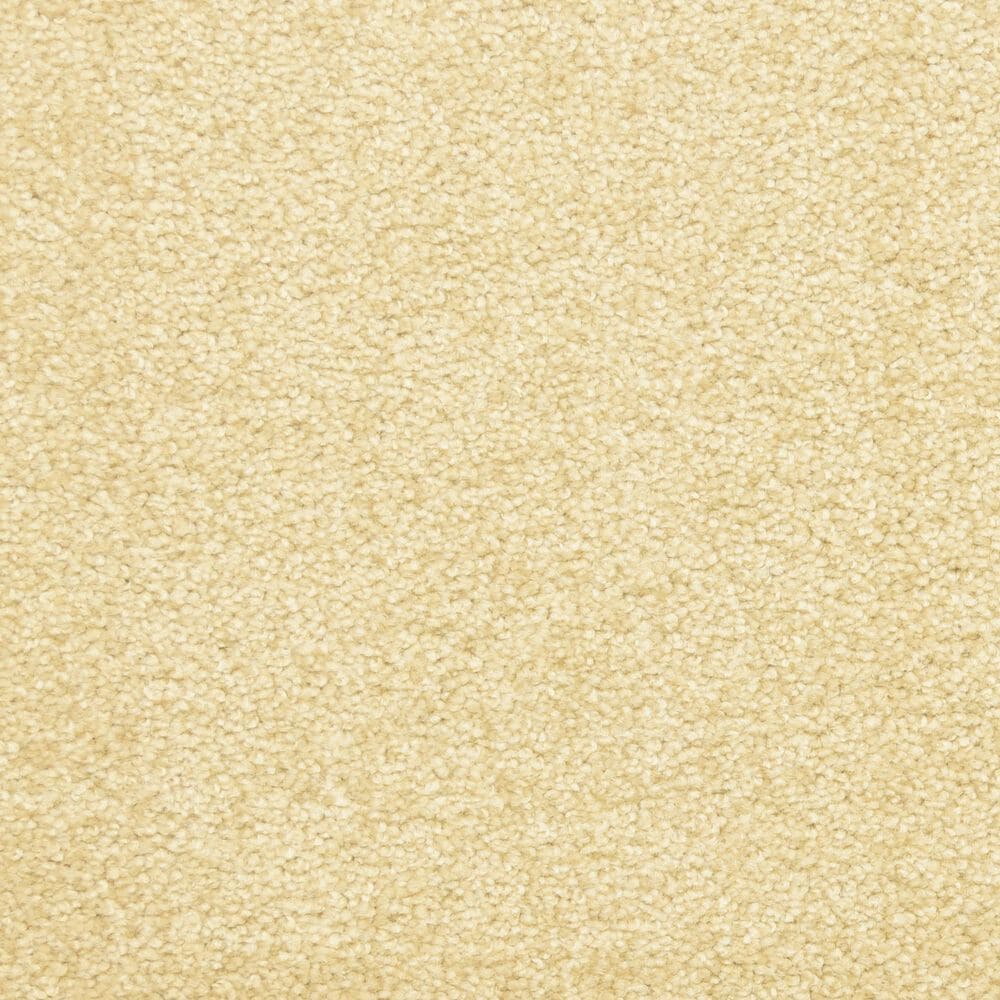 Dixie Home Debut Carpet in Sanderling, , large